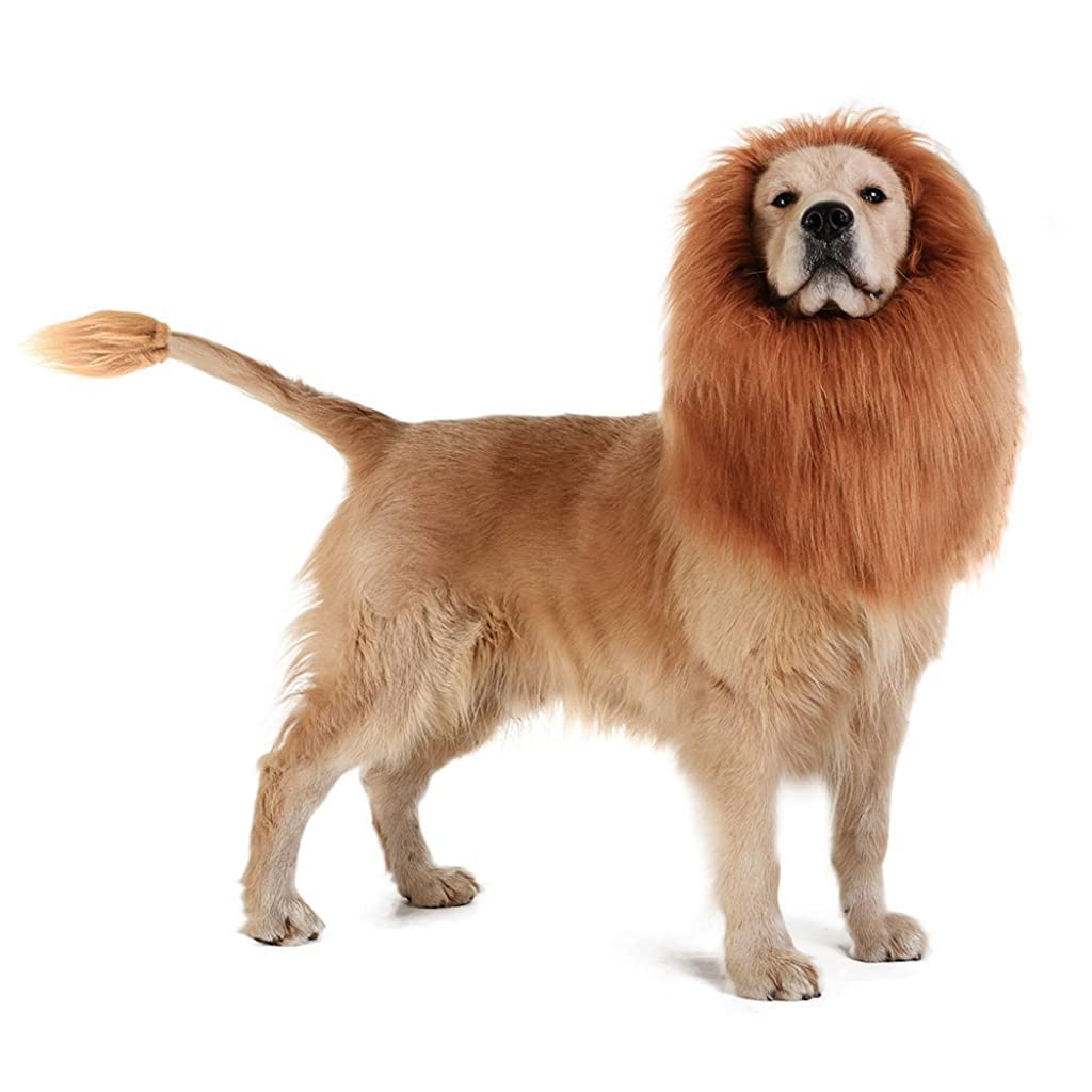 Qpets Dog Lion Mane Funny Headwear for Lion Mane for Dogs Lion Hair Ear Headwear for Dog Halloween Party Festival Headwear Qpets Dog Lion Mane Funny Headwear for Lion Mane for Dogs Lion Hair Ear Headwear for Dog Halloween Party Festival Headwear